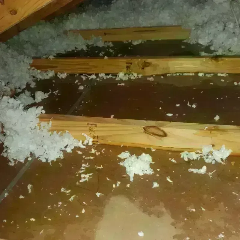 Attic Water Damage in Mount Washington, KY